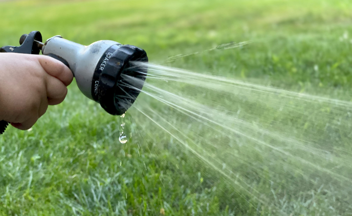 Does installing a sprinkler system ruin your lawn in New Zealand