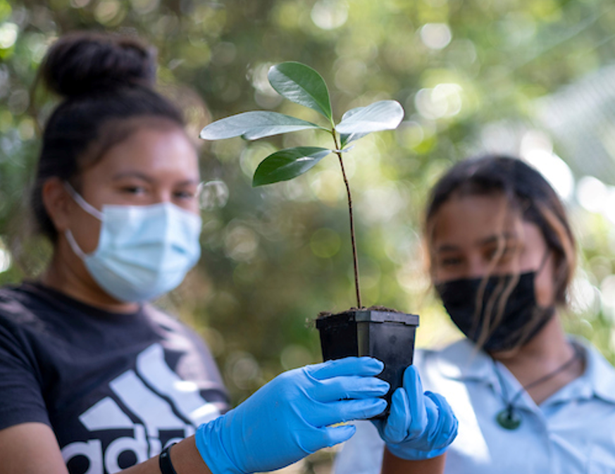 Te Kura Kaupapa Maori O Nga Maungarongo students with a Treeway seedling for replanting
