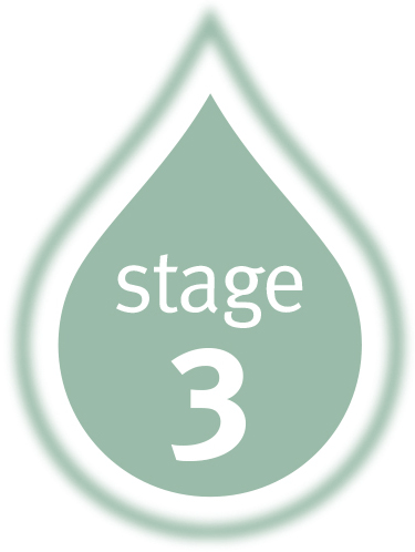 stage3