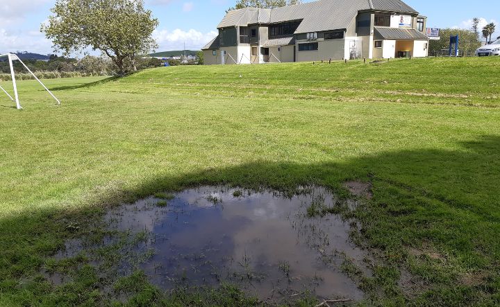 A photo of groundwater on the lawn